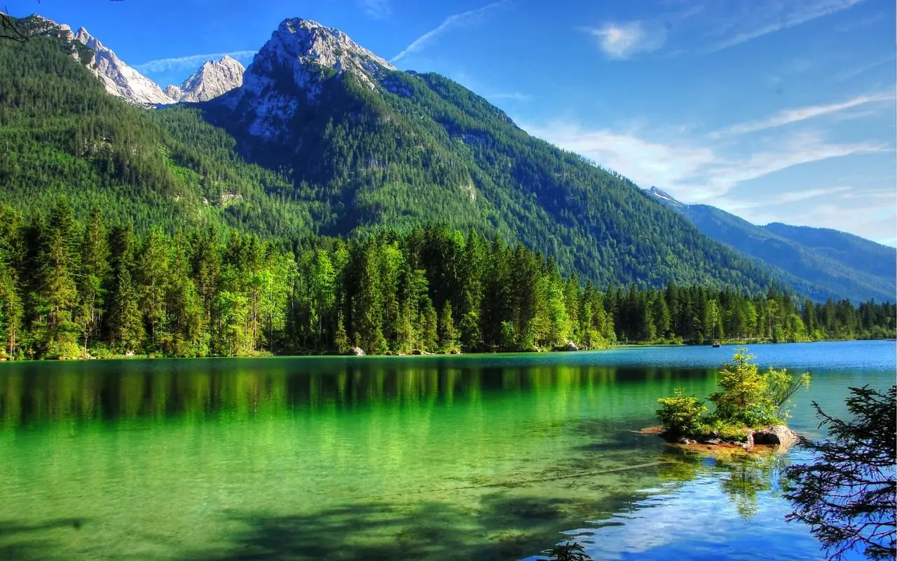 数字化智能系统